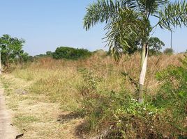  Land for sale in Mittraphap, Sikhio, Mittraphap