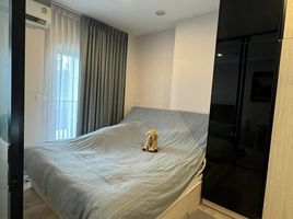 1 Schlafzimmer Appartement zu vermieten im Niche MONO Mega Space Bangna, Bang Kaeo, Bang Phli, Samut Prakan