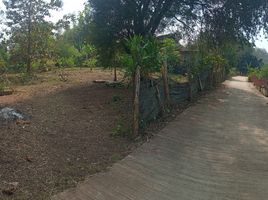 在沙蒙, 清迈出售的 土地, Samoeng Nuea, 沙蒙