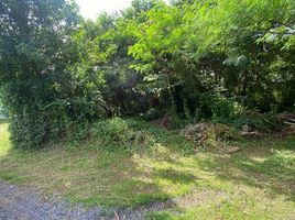  Land for sale at Land Plot Tala in Rawai, Rawai, Phuket Town