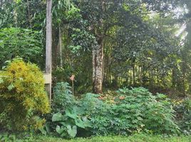  Land for sale in Mueang Krabi Krabi, Khao Thong, Mueang Krabi, Krabi