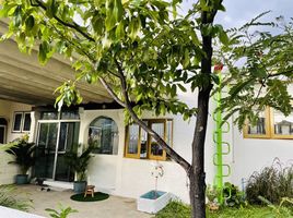 2 Schlafzimmer Haus zu vermieten in Tha Sai, Mueang Nonthaburi, Tha Sai