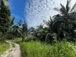  Grundstück zu verkaufen in Bo Phut, Surat Thani, Bo Phut