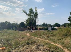  Land for sale in Chiang Khan, Loei, Na Sao, Chiang Khan