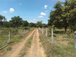  Land for sale in Thep Krasattri, Thalang, Thep Krasattri