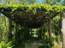 8 Schlafzimmer Villa zu vermieten im Leafy Greens , Chang Phueak, Mueang Chiang Mai, Chiang Mai