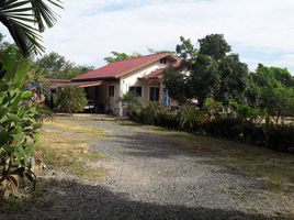  Grundstück zu verkaufen in Doi Saket, Chiang Mai, Talat Yai, Doi Saket, Chiang Mai