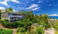 Photo 3 of the Communal Garden Area at Karon Butterfly