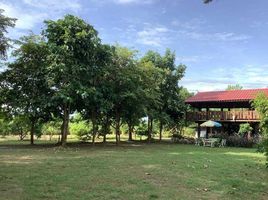 2 Schlafzimmer Haus zu verkaufen in San Kamphaeng, Chiang Mai, Chae Chang, San Kamphaeng