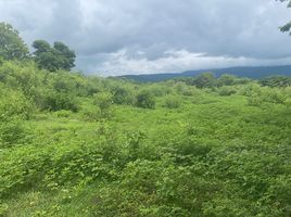  Land for sale in Mae Hia, Mueang Chiang Mai, Mae Hia