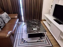 1 Bedroom Condo for rent at S&S Sukhumvit Condominium, Bang Na