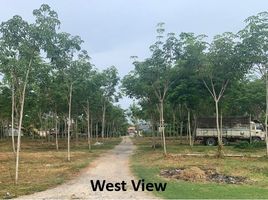  Grundstück zu verkaufen in Takua Thung, Phangnga, Khok Kloi, Takua Thung, Phangnga, Thailand