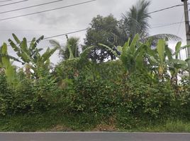  Land for sale in Bali, Ubud, Gianyar, Bali