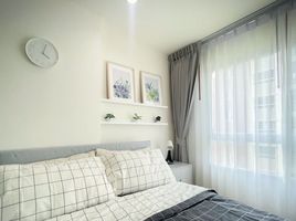 อพาร์ทเม้นท์ 1 ห้องนอน ให้เช่า ในโครงการ ลุมพินี เพลส ยูดีโพศรี, เทศบาลนครอุดรธานี, เมืองอุดรธานี, อุดรธานี
