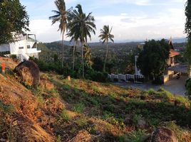  Land for sale in Ang Thong, Koh Samui, Ang Thong