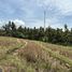  Land for sale in Balian, Bali, Balian, Tabanan