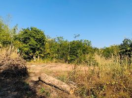  Land for sale in Sakon Nakhon, Ban Thon, Sawang Daen Din, Sakon Nakhon