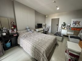 Studio Wohnung zu verkaufen im Ideo Sukhumvit 115, Thepharak