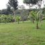  Land for sale in Balbina, Presidente Figueiredo, Balbina