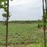  Land for sale in Khon San, Chaiyaphum, Khon San, Khon San