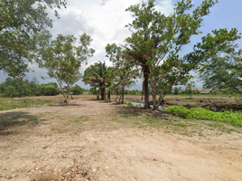  Land for sale in Wat Phra Nang Sang, Thep Krasattri, Thep Krasattri