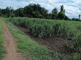  Grundstück zu verkaufen in Si Thep, Phetchabun, Sa Kruat