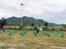  Grundstück zu verkaufen in Tha Yang, Phetchaburi, Khao Krapuk