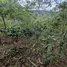  Land for sale in Laos, Paksxong, Champasak, Laos