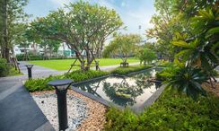 Photo 2 of the Communal Garden Area at Menam Residences