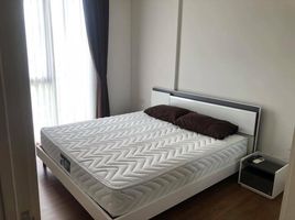 2 Schlafzimmer Appartement zu vermieten im Hasu Haus, Phra Khanong Nuea