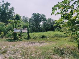  Land for sale in Bang Kruai, Nonthaburi, Bang Khu Wiang, Bang Kruai