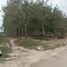  Grundstück zu verkaufen in Maenam Khu, Rayong, Maenam Khu