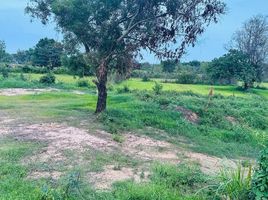  Land for sale in Tham, Kanthararom, Tham