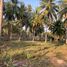  Land for sale in Saeng Arun, Thap Sakae, Saeng Arun