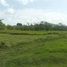  Land for sale in San Carlos, Panama Oeste, San Jose, San Carlos