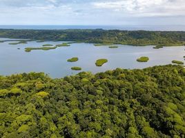  Grundstück zu verkaufen in Bocas Del Toro, Bocas Del Toro, Bastimentos