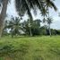  Land for sale in Mai Khao, Phuket, Mai Khao, Thalang