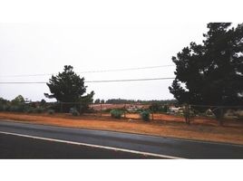  Land for sale at Algarrobo, Casa Blanca, Valparaiso