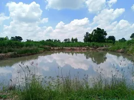  Land for sale in Chai Nat, Suk Duean Ha, Noen Kham, Chai Nat