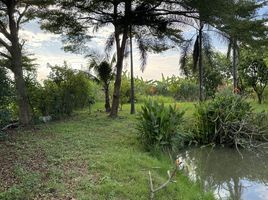 3 Schlafzimmer Villa zu verkaufen in Khlong Sam Wa, Bangkok, Sam Wa Tawan Ok, Khlong Sam Wa