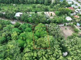  Land for sale at Yamu Hills, Pa Khlok, Thalang