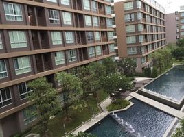 Studio Condo for rent at D Condo Creek, Kathu