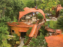 22 Bedroom Villa for sale in San Sai, Chiang Mai, Pa Phai, San Sai
