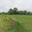  Land for sale in Hua Hin Prachuap Khiri Khan, Thap Tai