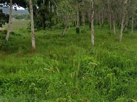  Land for sale in Thep Krasattri, Thalang, Thep Krasattri