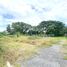  Land for sale in Pak Kret Nonthaburi, Khlong Khoi