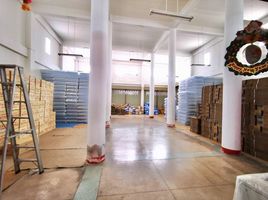 7 Bedroom Warehouse for sale in AsiaVillas, Nai Mueang, Mueang Chaiyaphum, Chaiyaphum, Thailand