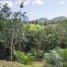  Land for sale in Takua Thung Phangnga, Khlong Khian, Takua Thung, Phangnga