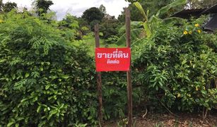 N/A Land for sale in San Mahaphon, Chiang Mai 