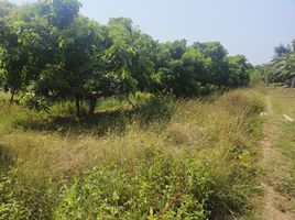  Land for sale in San Sai, Chiang Mai, Mae Faek Mai, San Sai